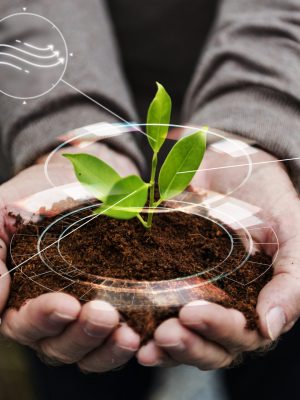 smart-agriculture-iot-with-hand-planting-tree-background-scaled.jpg